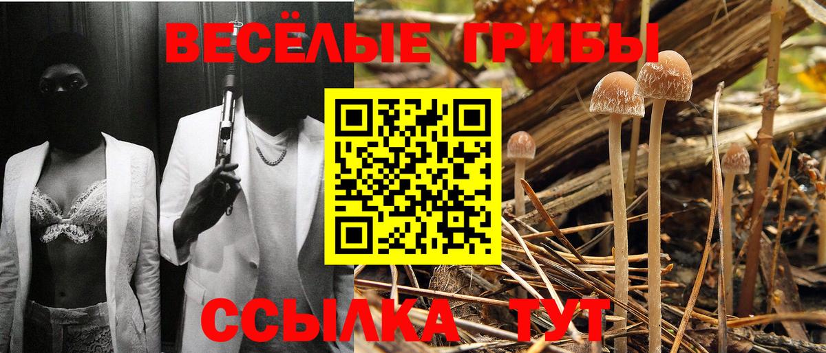 Мефедрон   ГАШ  Бошки Шишки  Меф МЯУ МЯУ  Альфа ПВП СОЛЬ   Вход с VPN  Краснокамск  Кокаин  НБОМе 