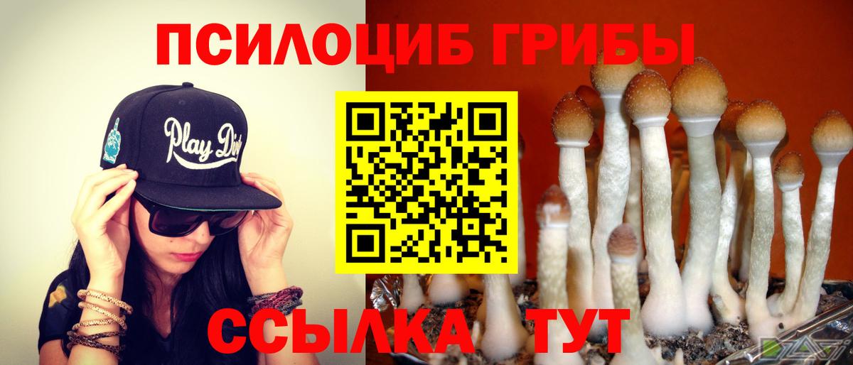 Псилоцибиновые грибы прущие грибы  Вход с VPN  Краснокамск 