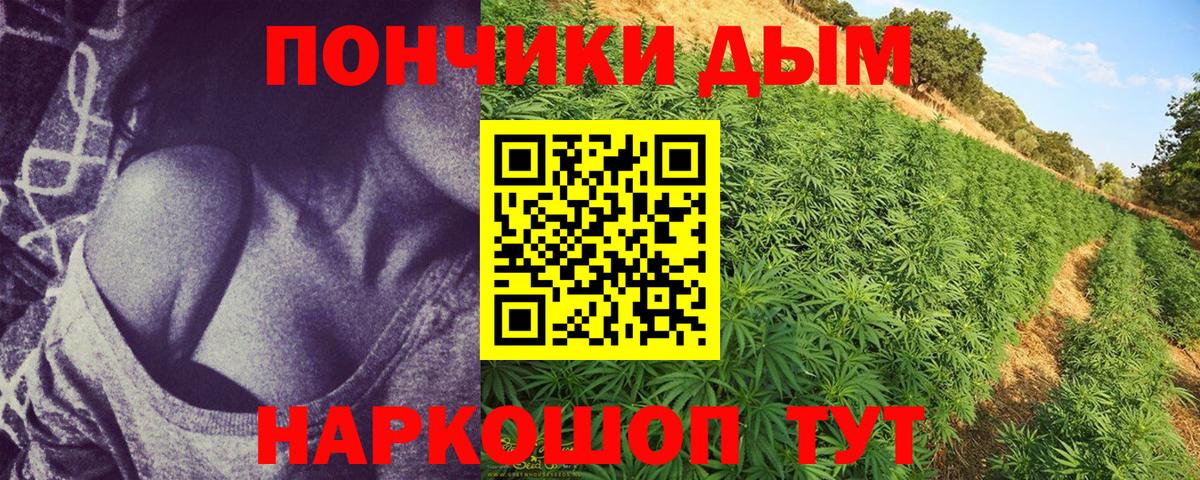 Канабис семена  Бошки Шишки планчик  Шишки марихуана SATIVA & INDICA  Краснокамск  Вход с VPN 